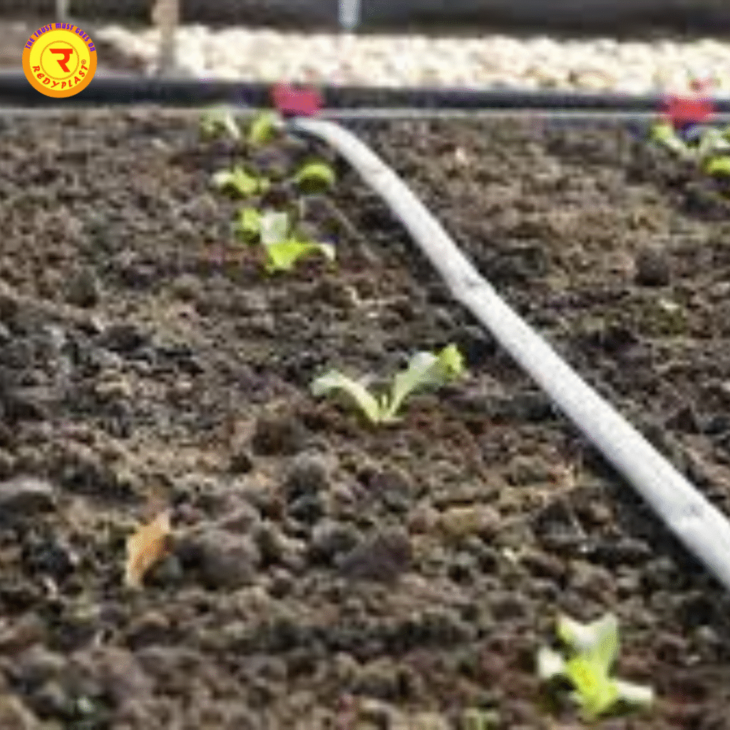 irrigation mistakes in Indian farming